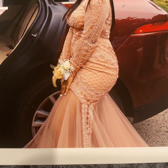 Terani couture blush mermaid dress.  Size 6 - Picture 8 of 8